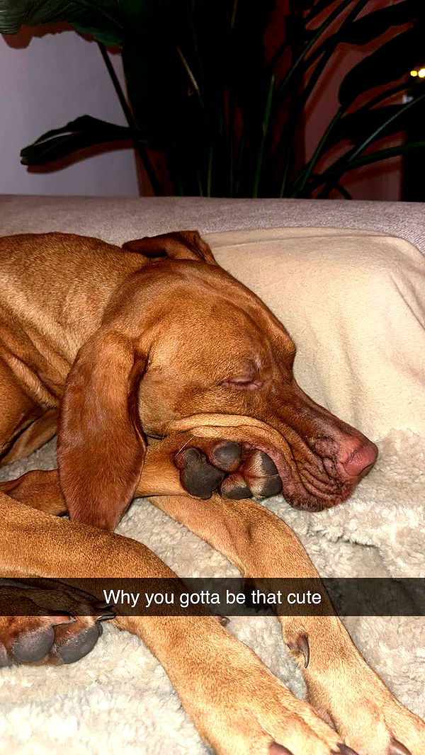 surfsterre image ~ Altpins