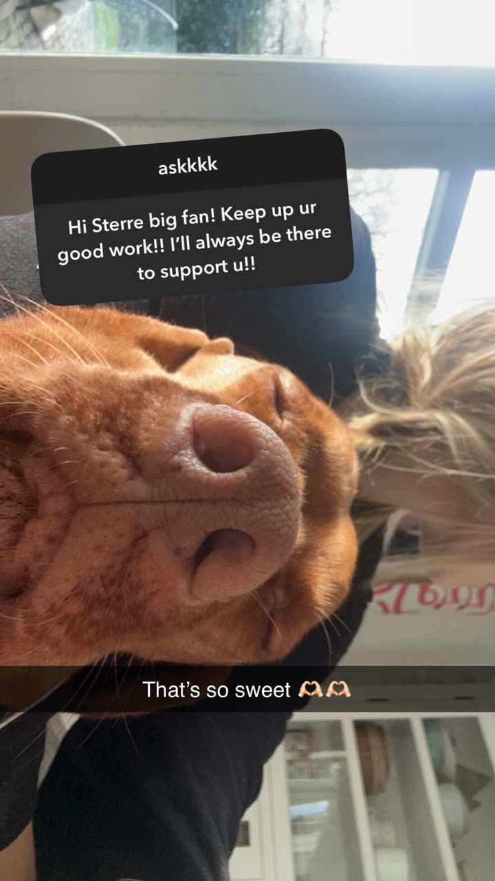 surfsterre snapchat image archive image