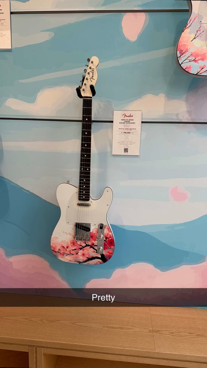 surfsterre snapchat image archive image