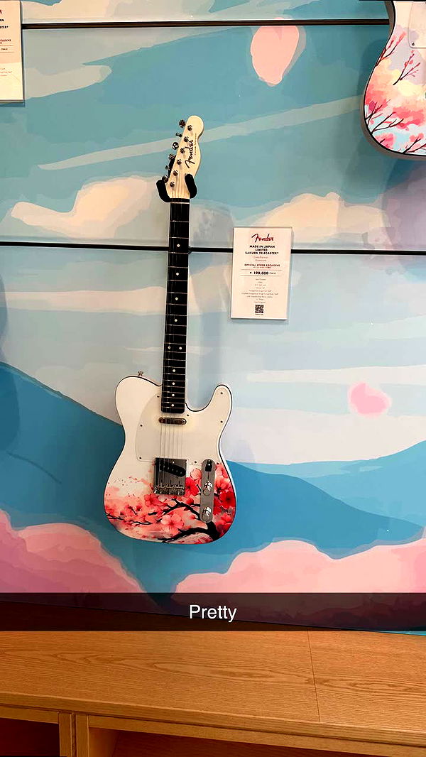 surfsterre image ~ Altpins