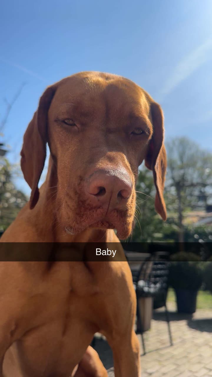 surfsterre snapchat image archive image