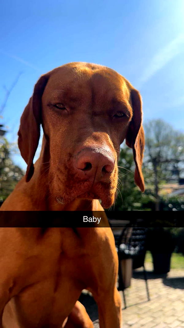 surfsterre image ~ Altpins