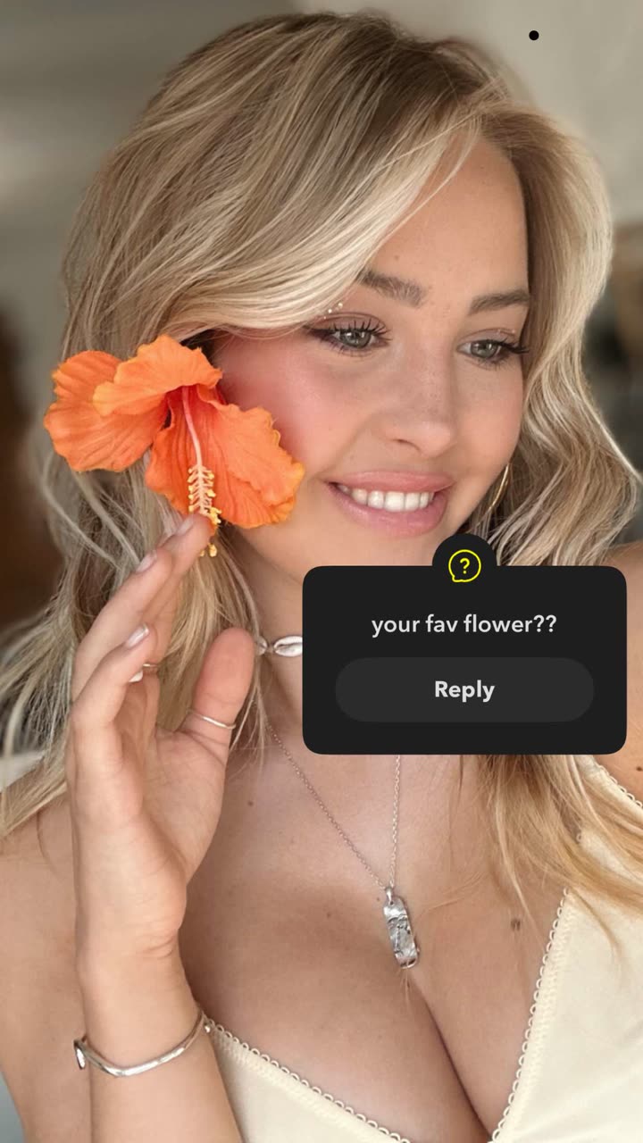 surfsterre snapchat image archive image