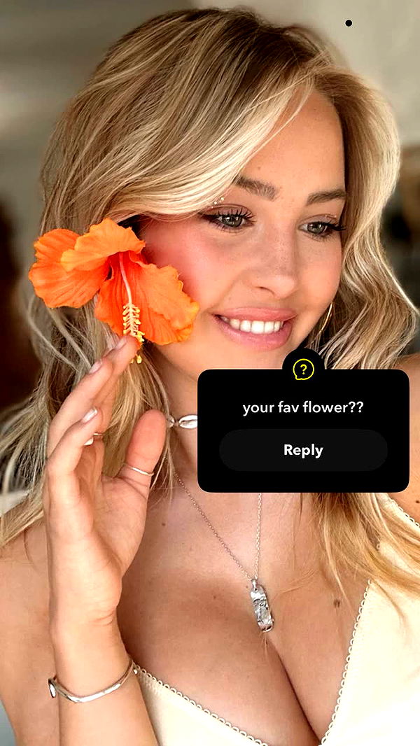 surfsterre image ~ Altpins