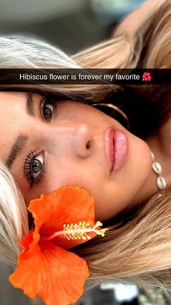 surfsterre image ~ Altpins