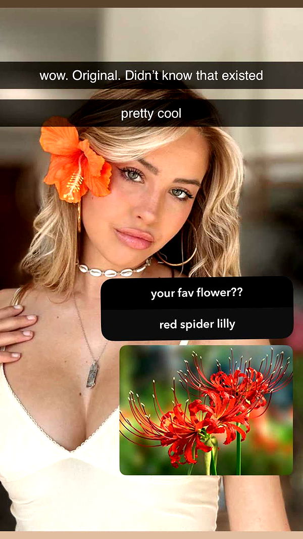 surfsterre image ~ Altpins