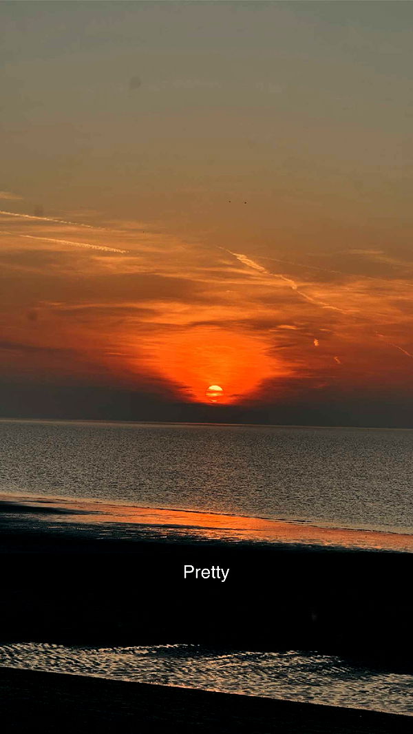 surfsterre image ~ Altpins