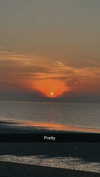 surfsterre Altpins Profile Picture