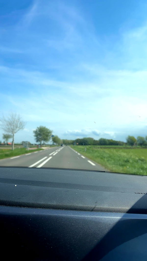 surfsterre image ~ Altpins