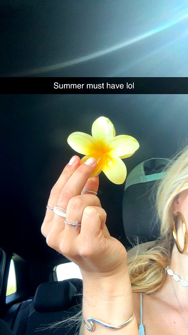 surfsterre image ~ Altpins