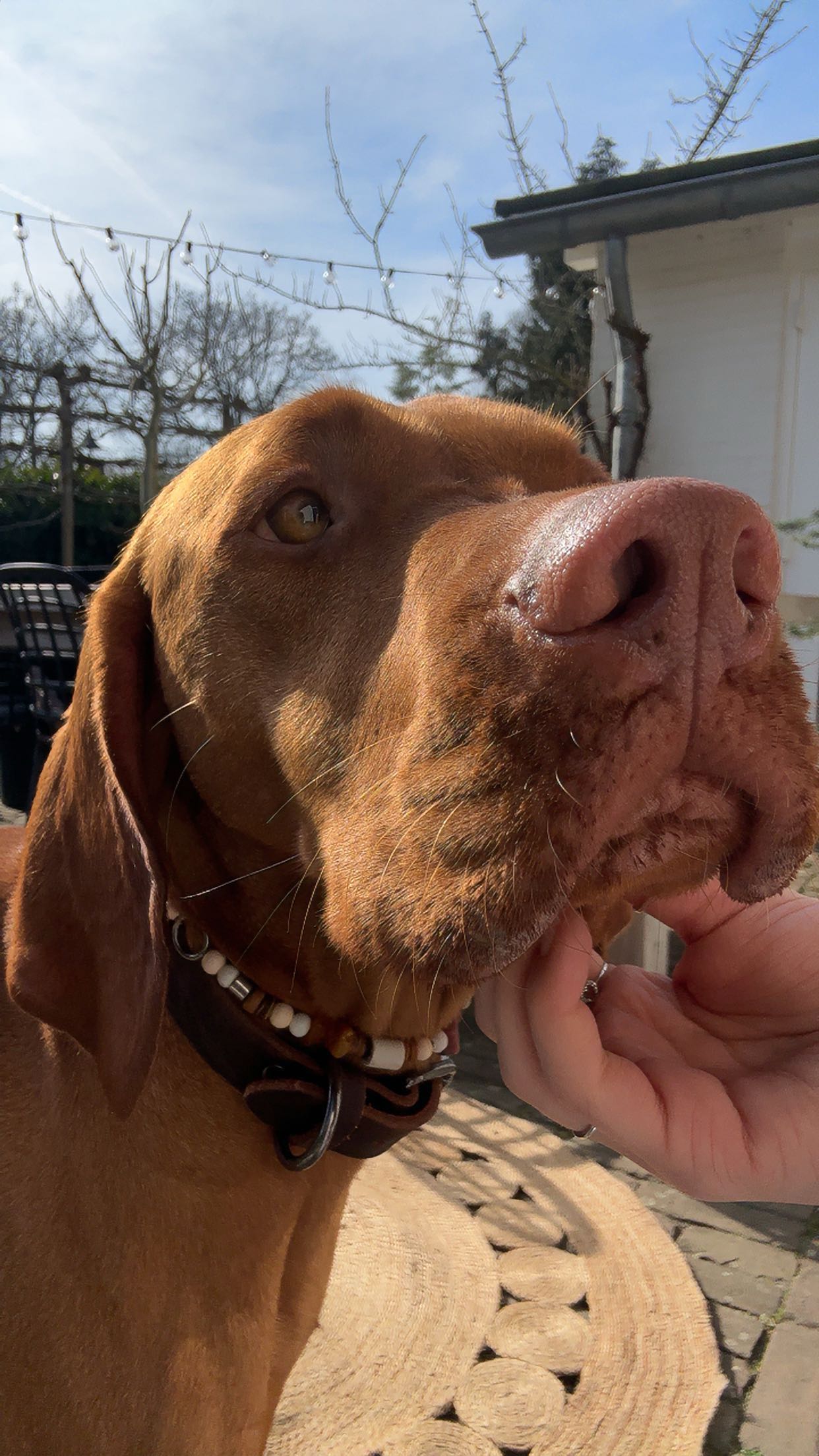 surfsterre snapchat image archive image