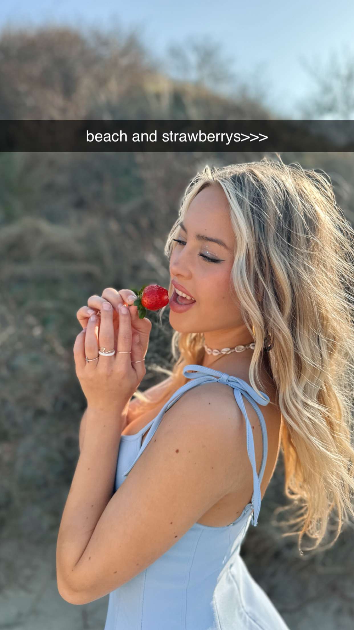 surfsterre snapchat image archive image