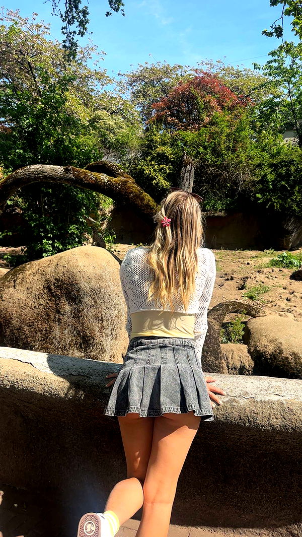 surfsterre image ~ Altpins