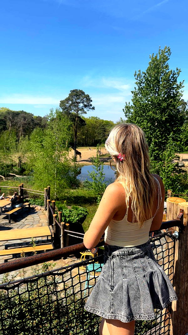 surfsterre image ~ Altpins