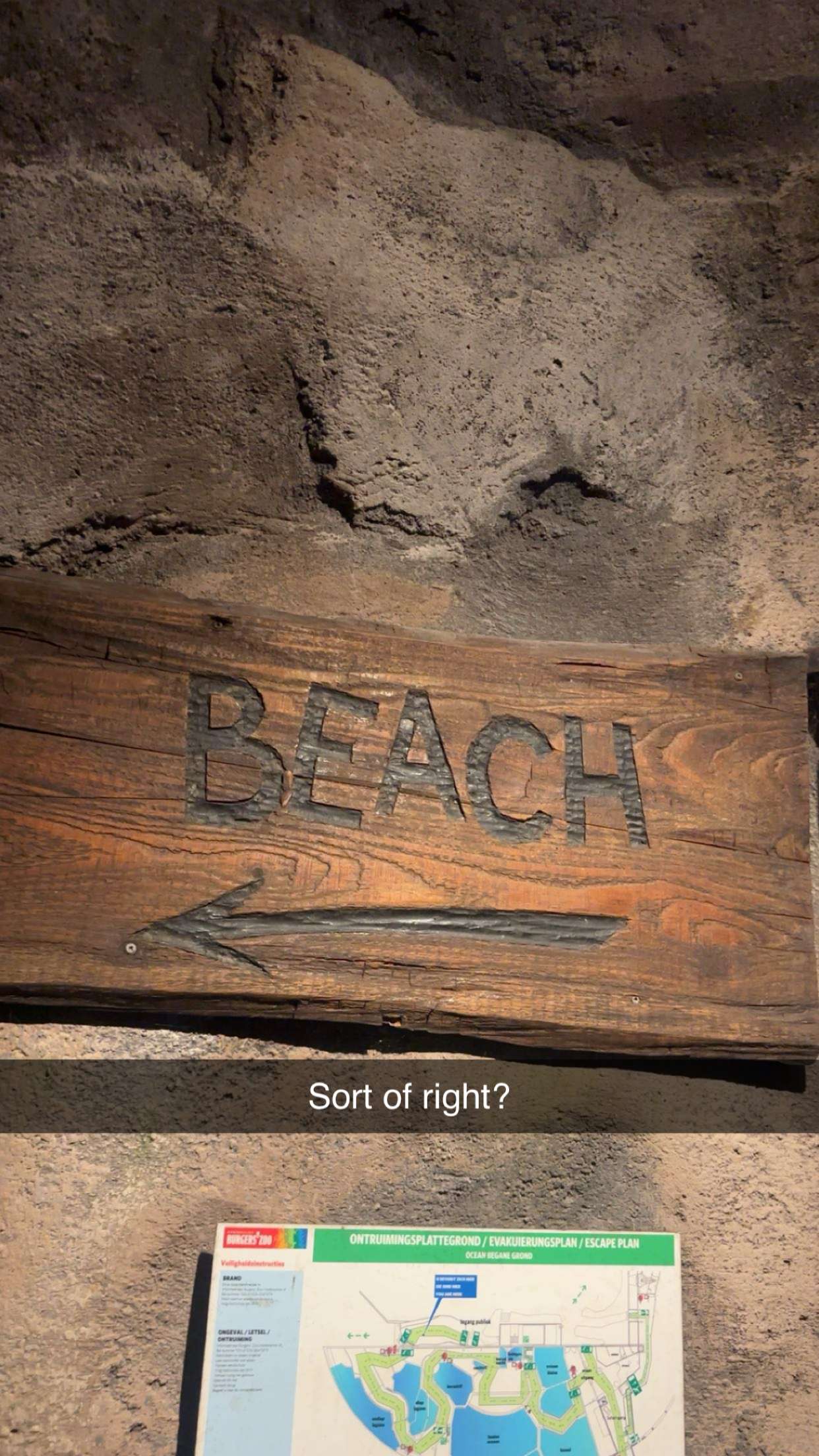 surfsterre snapchat image archive image