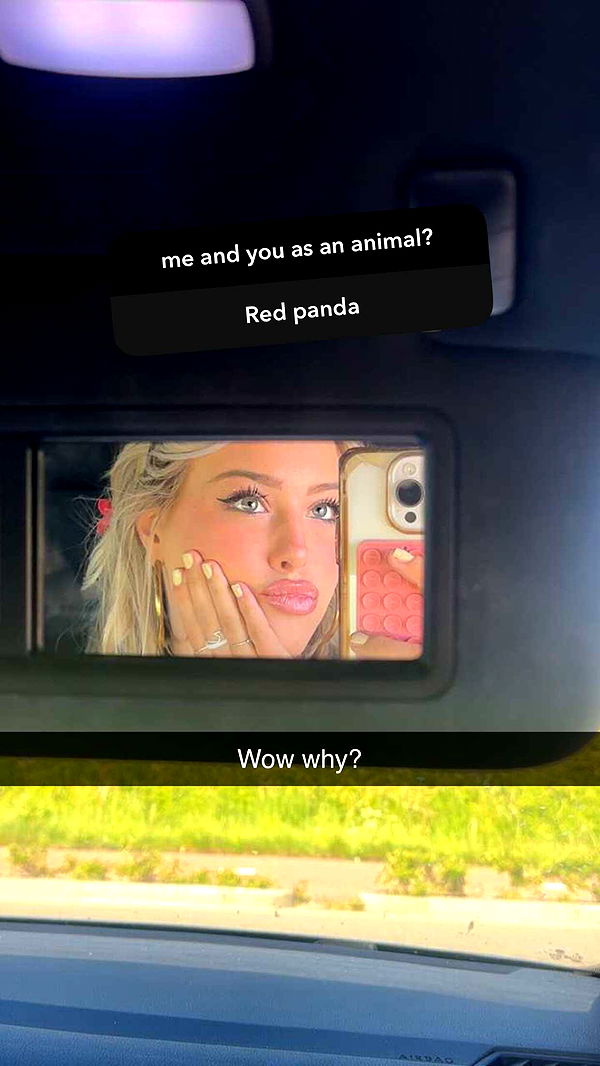 surfsterre image ~ Altpins