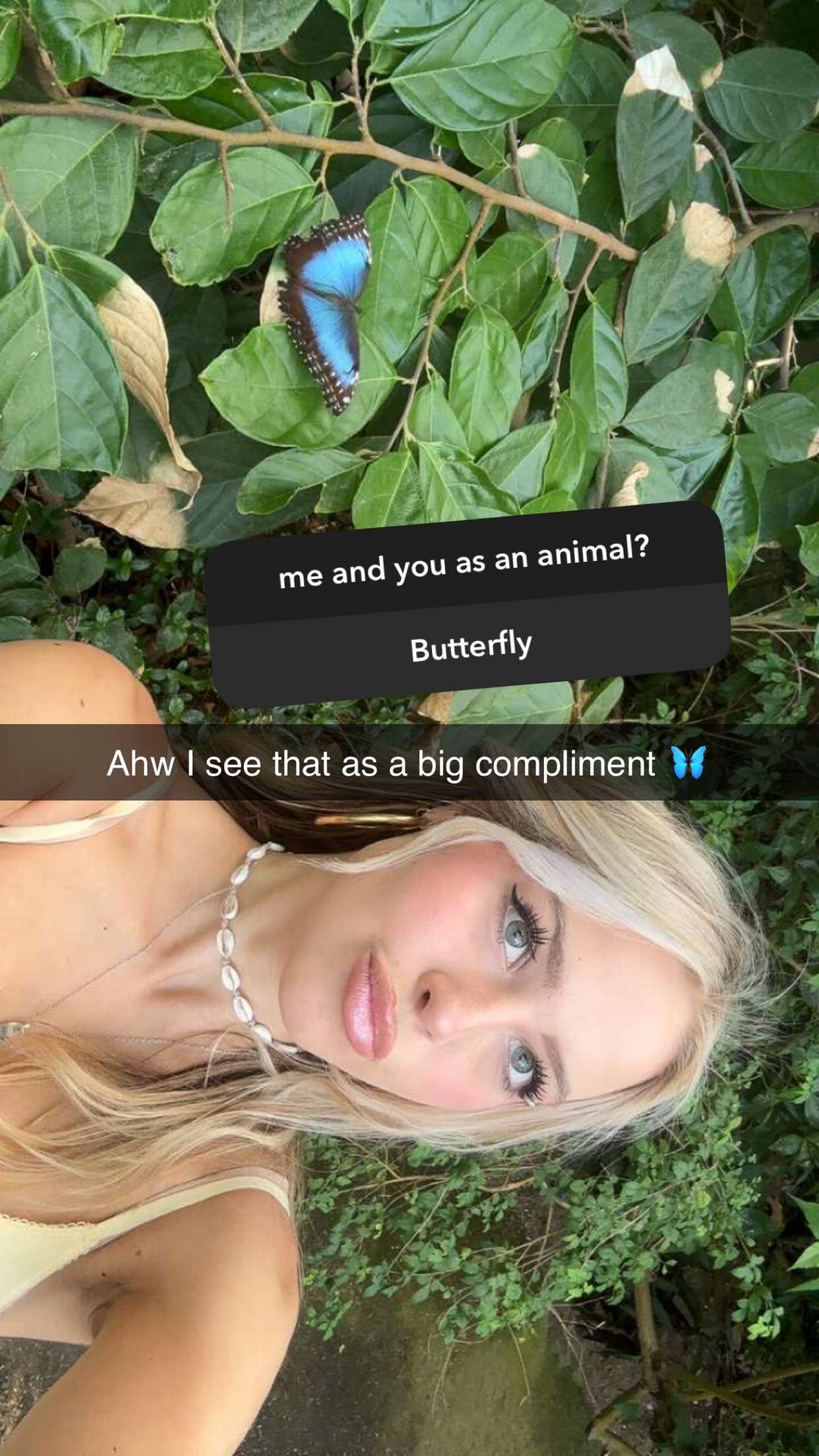 surfsterre snapchat image archive image