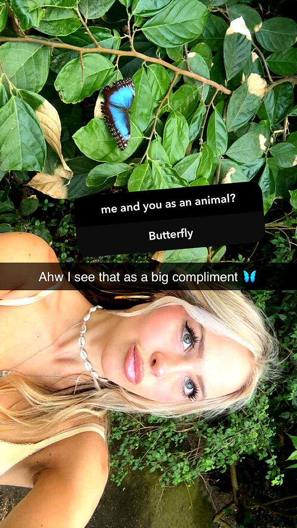 surfsterre image ~ Altpins