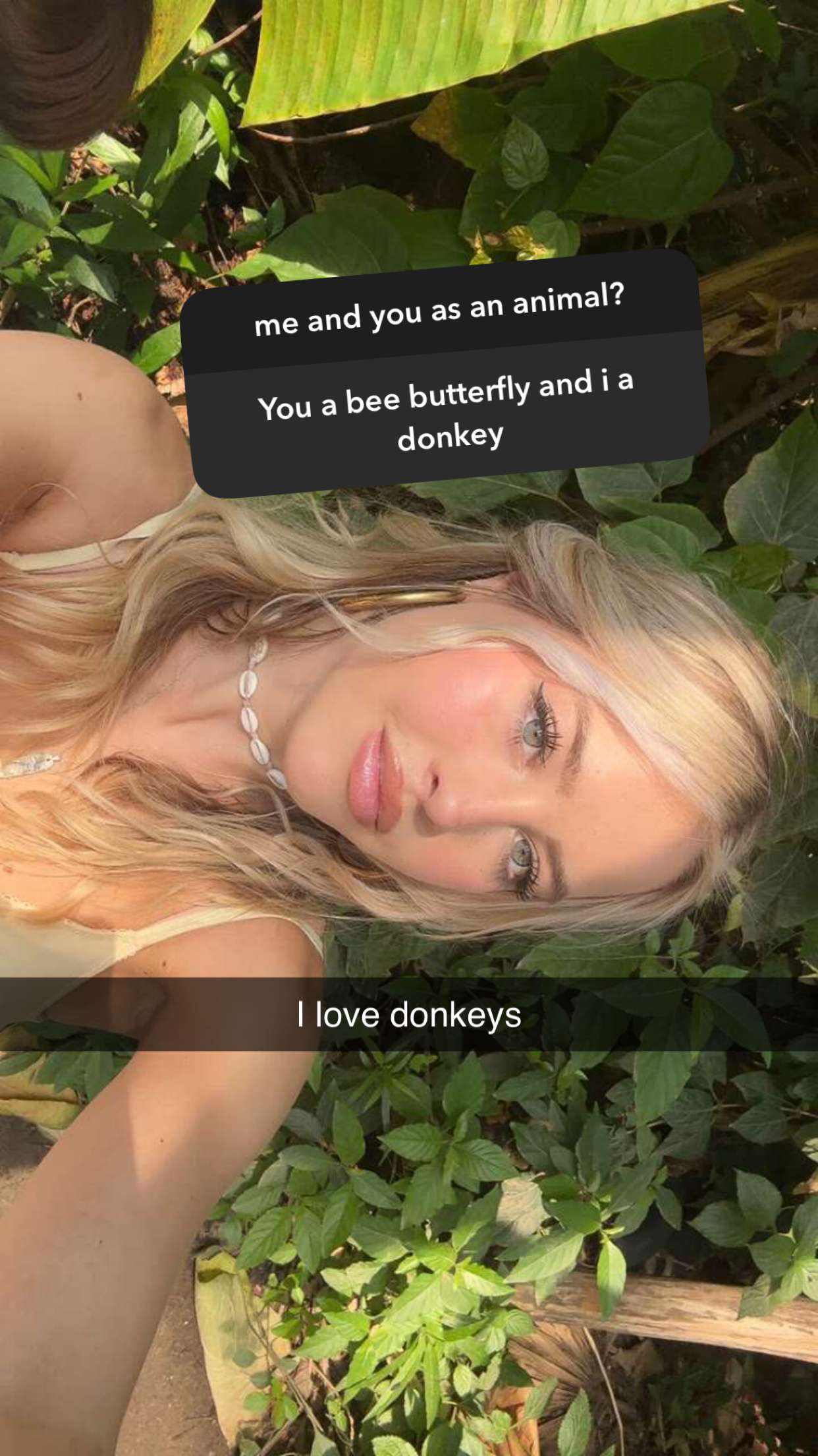 surfsterre snapchat image archive image