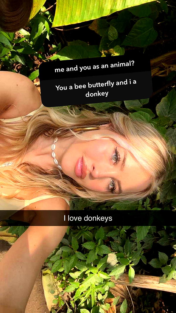 surfsterre image ~ Altpins