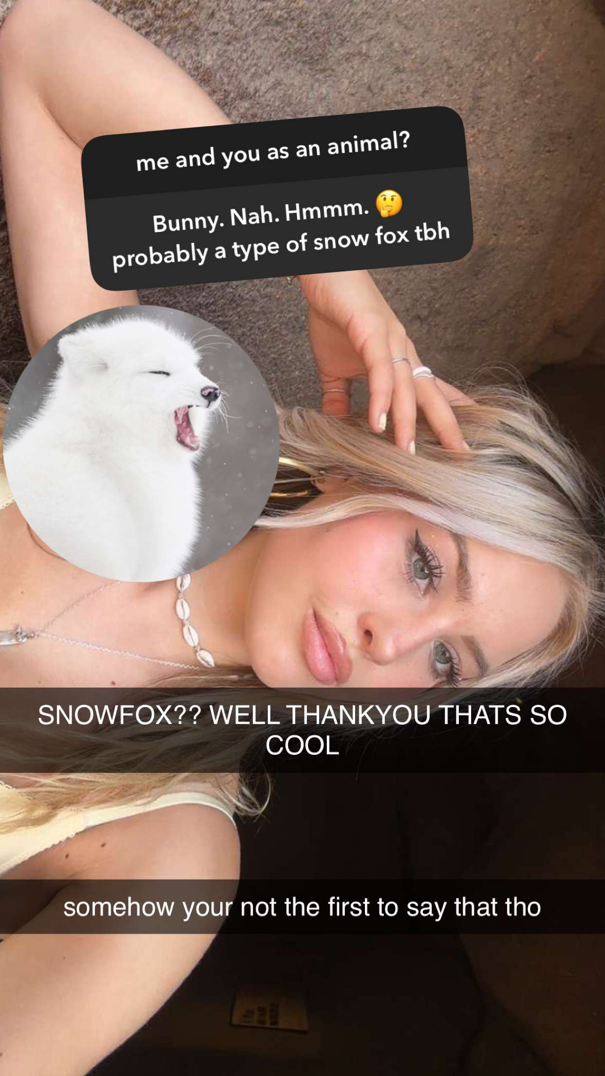 surfsterre snapchat image archive image