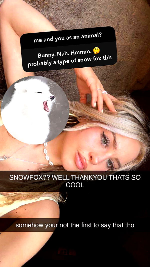 surfsterre image ~ Altpins