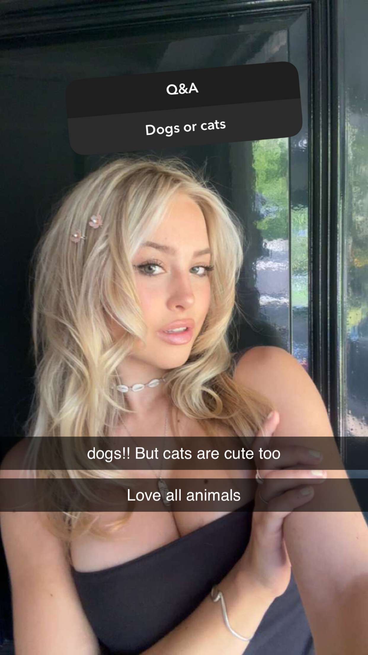 surfsterre snapchat image archive image