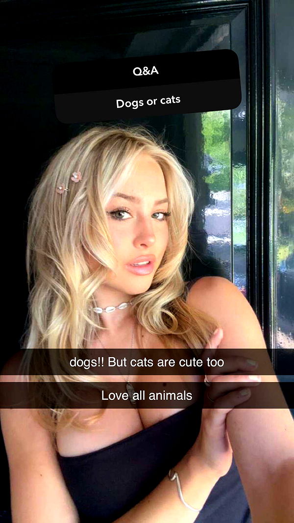 surfsterre image ~ Altpins