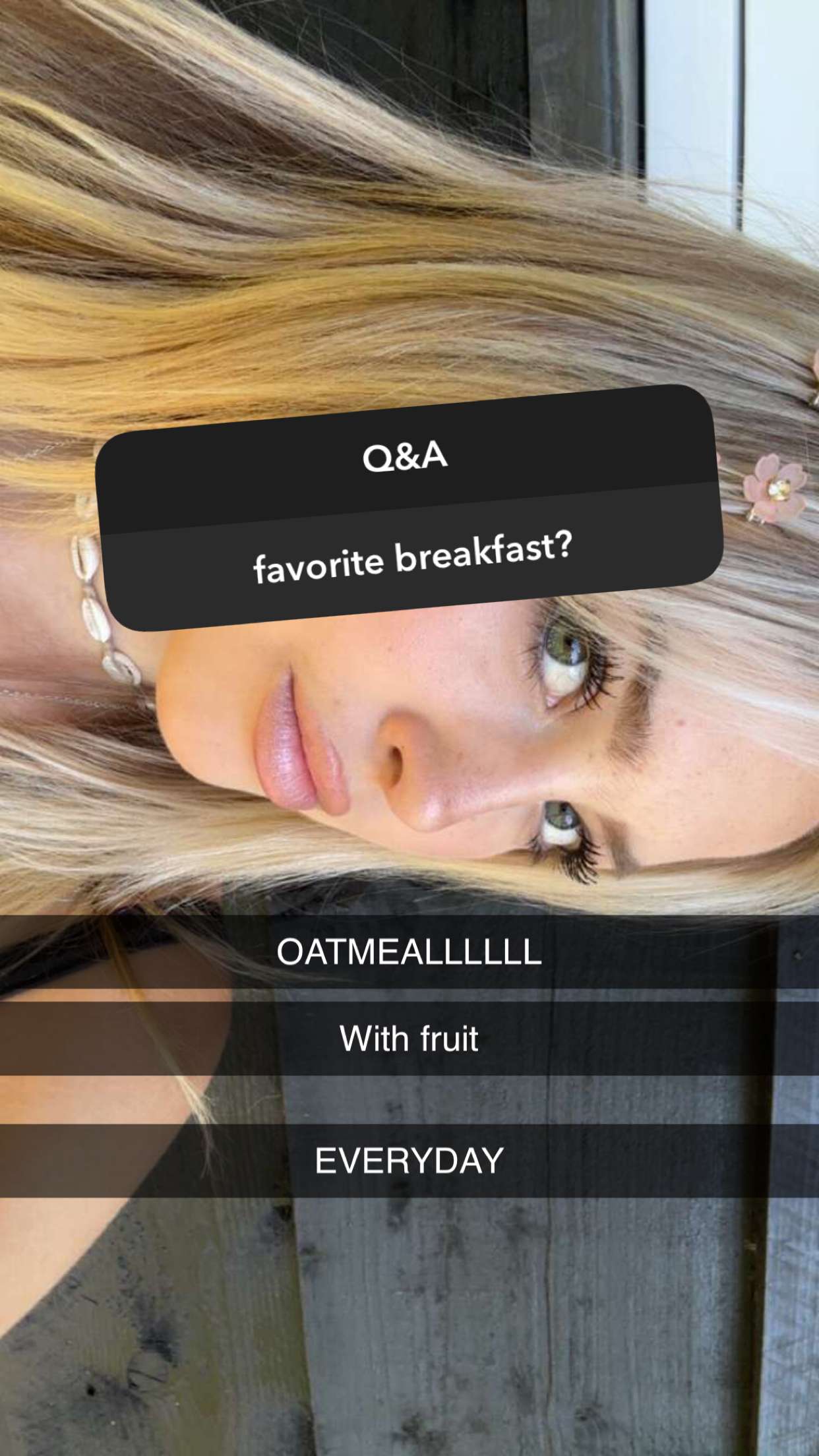 surfsterre snapchat image archive image