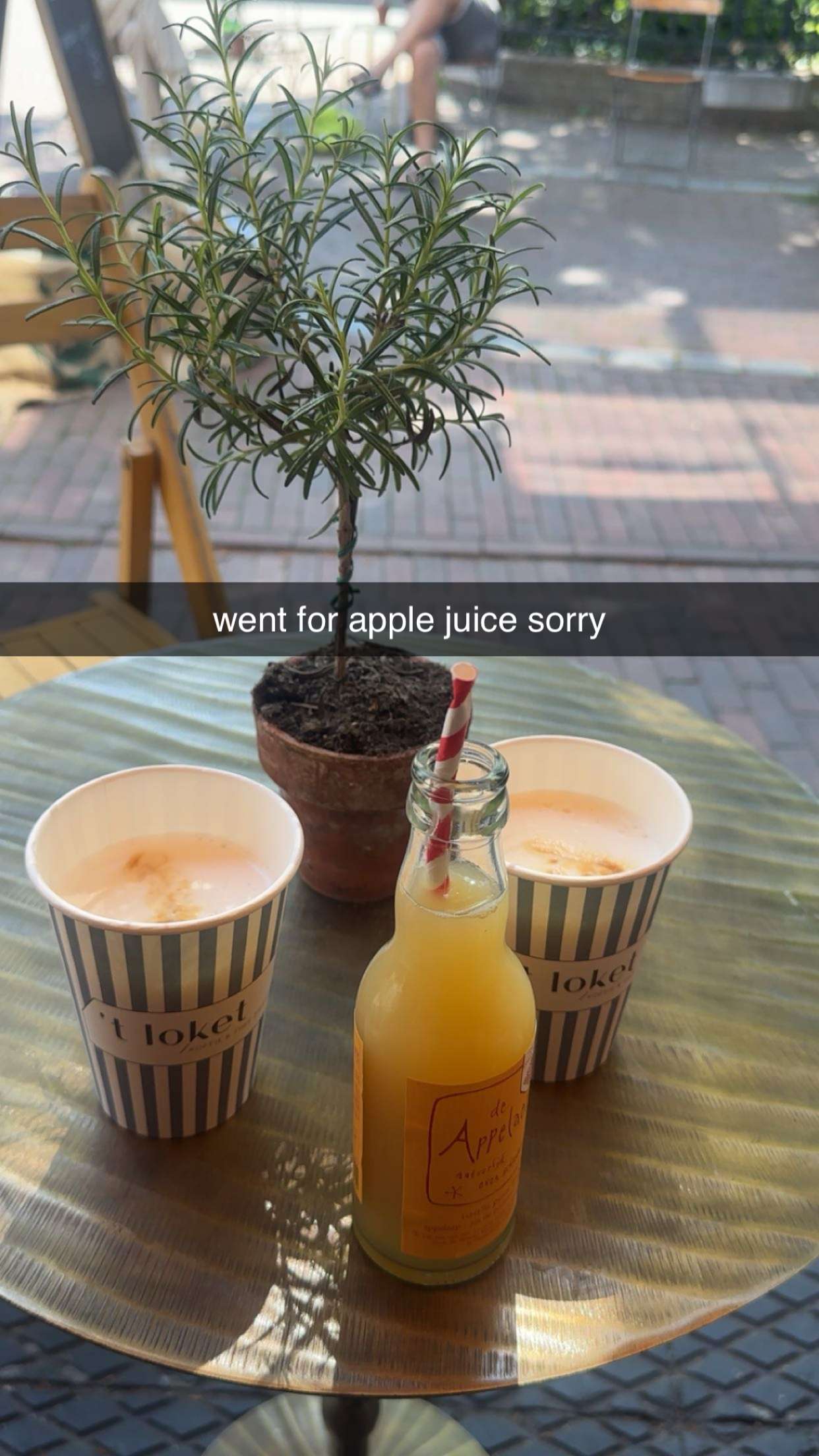 surfsterre snapchat image archive image