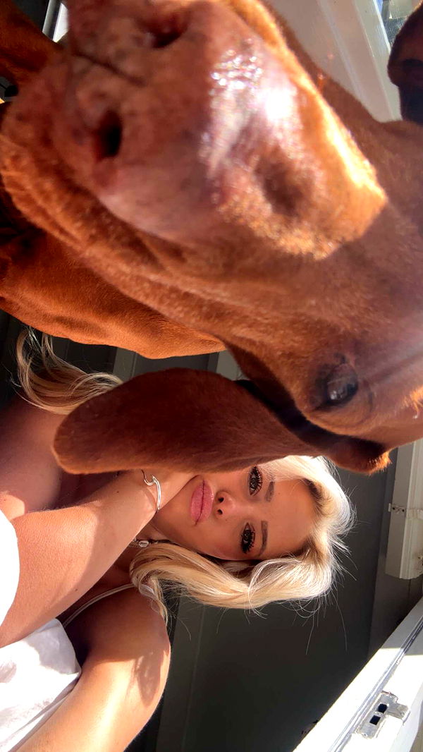 surfsterre image ~ Altpins