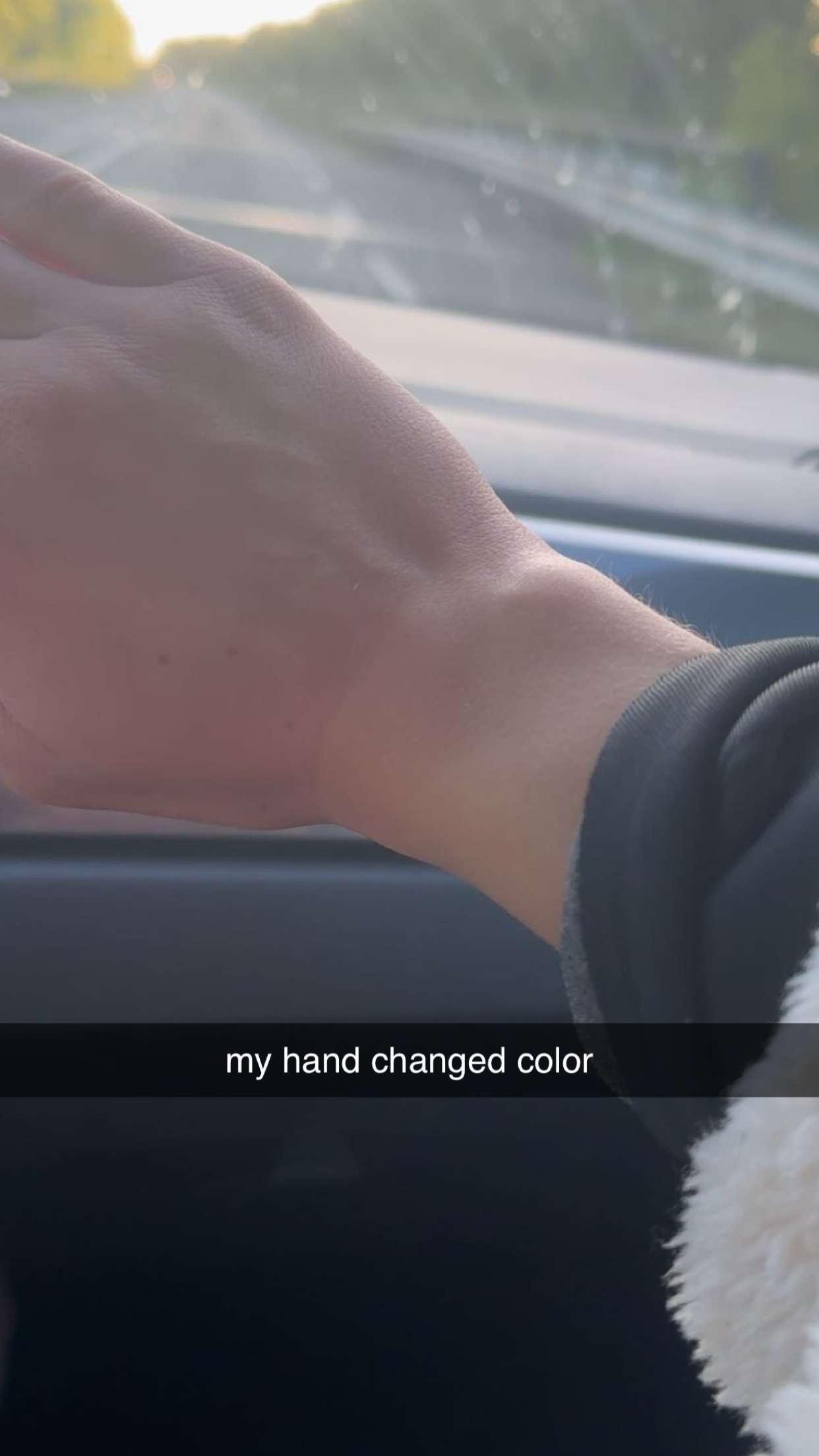 surfsterre snapchat image archive image