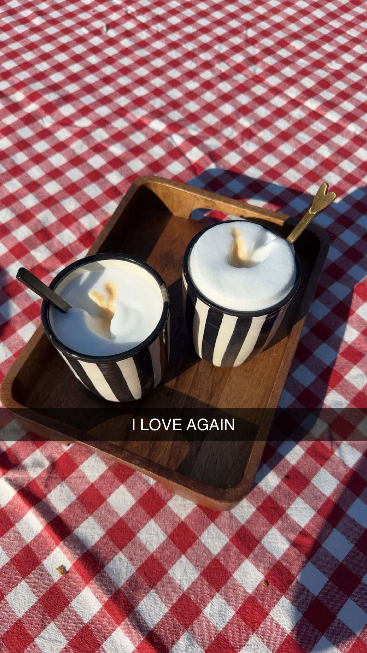 surfsterre snapchat image archive image