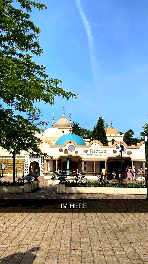 surfsterre image ~ Altpins