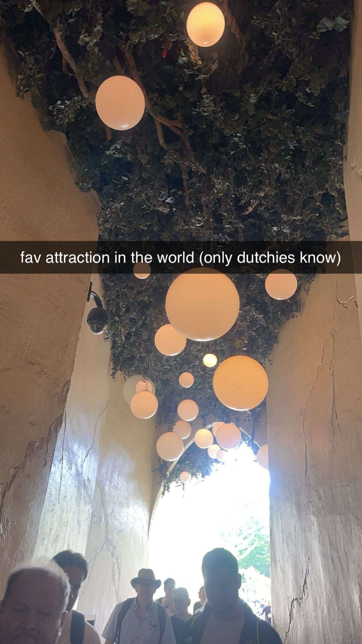 surfsterre snapchat image archive image