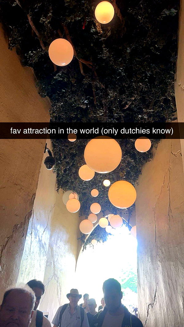 surfsterre image ~ Altpins