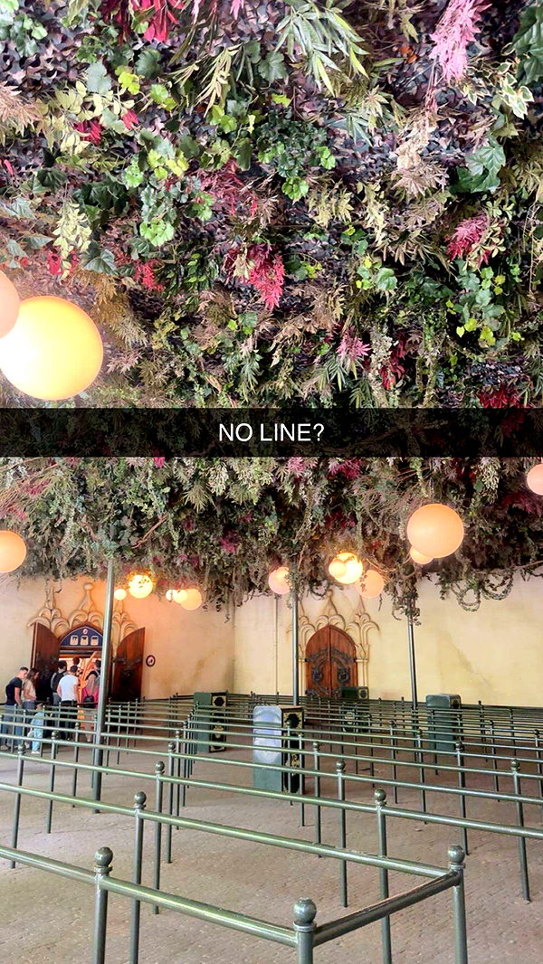 surfsterre image ~ Altpins