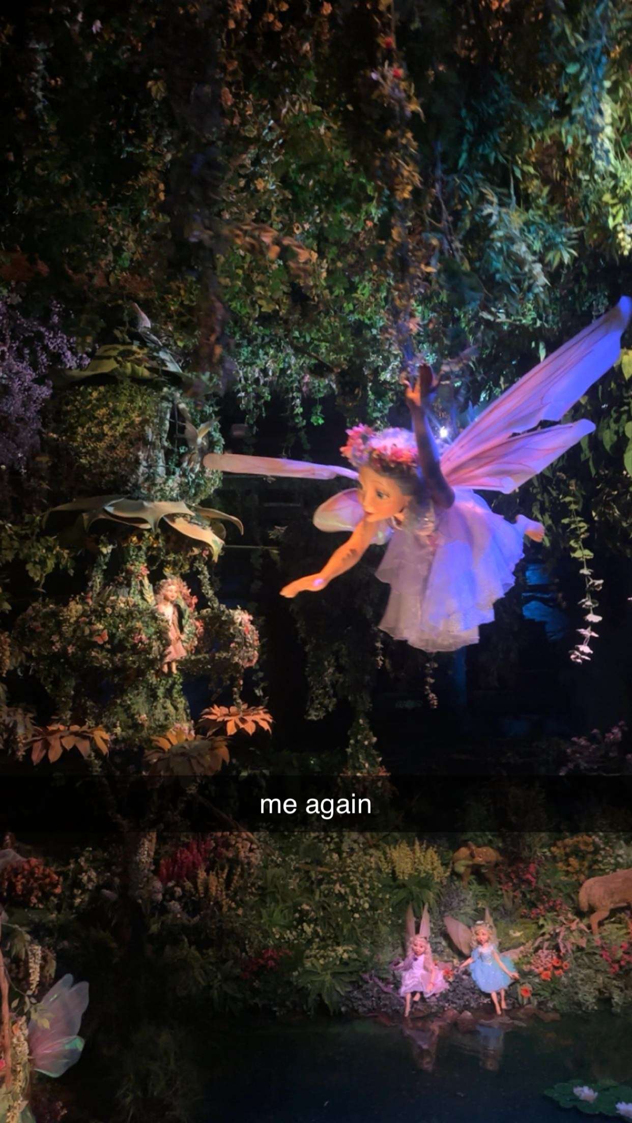 surfsterre snapchat image archive image