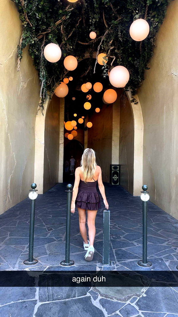 surfsterre image ~ Altpins