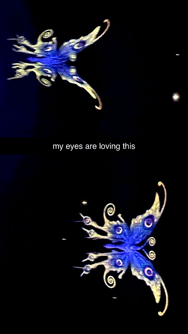 surfsterre image ~ Altpins