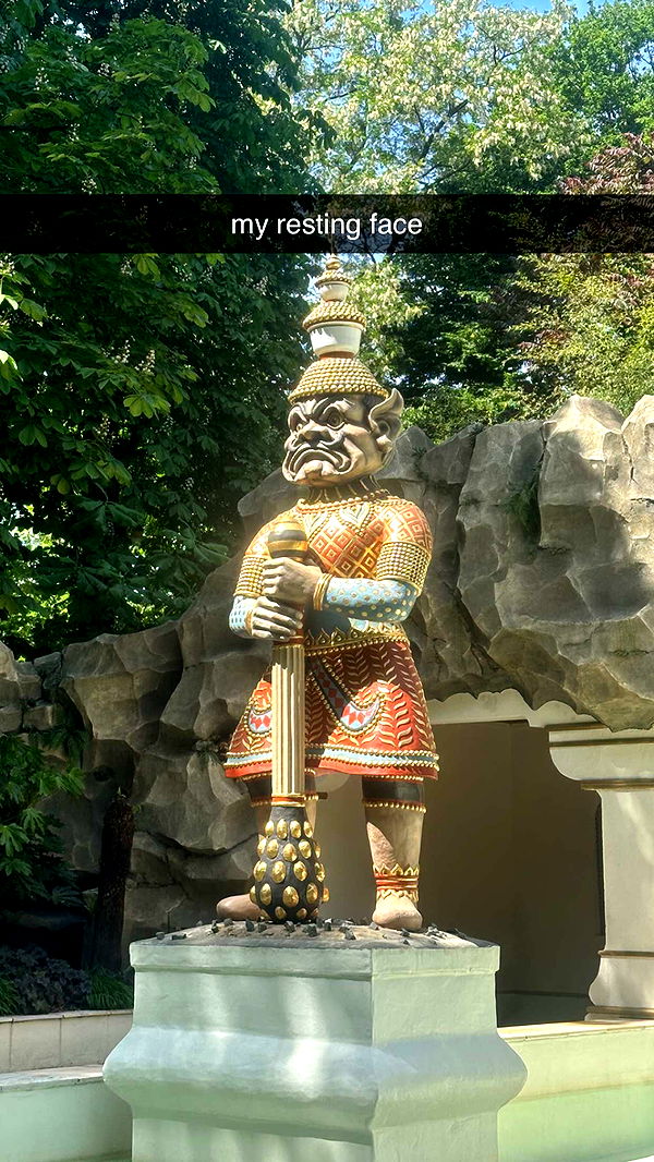 surfsterre image ~ Altpins