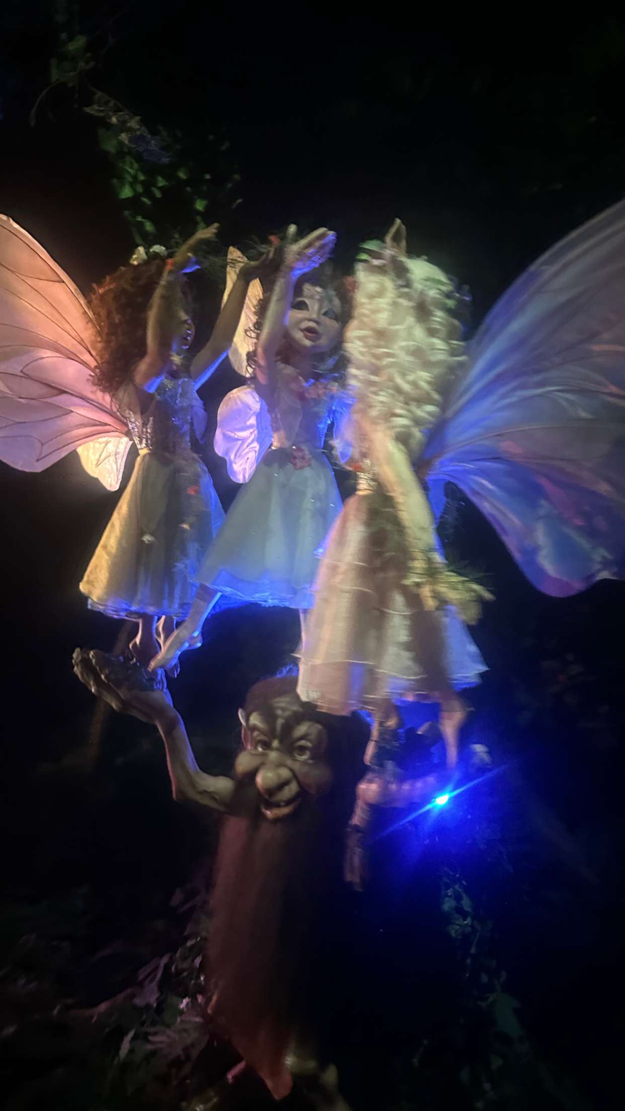 surfsterre snapchat image archive image