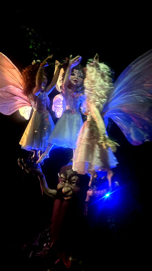 surfsterre image ~ Altpins