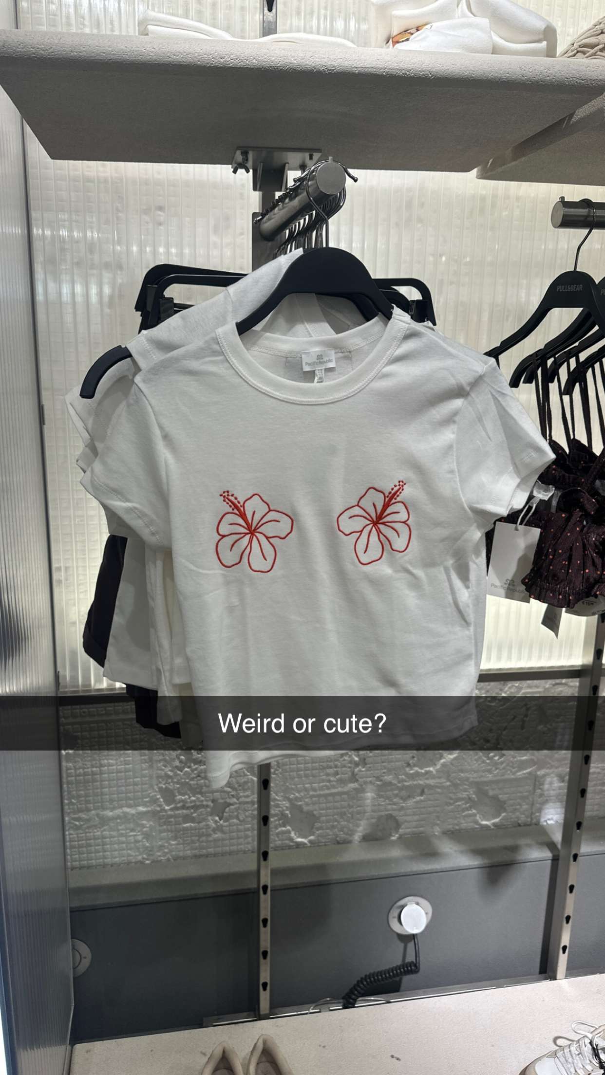 surfsterre snapchat image archive image