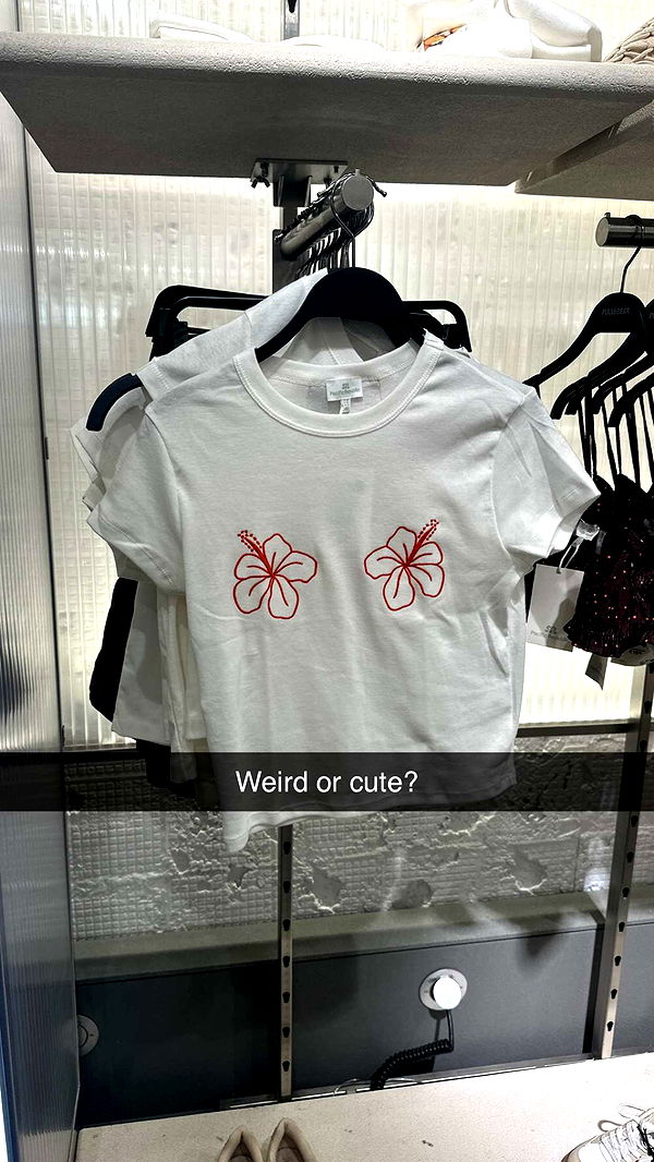 surfsterre image ~ Altpins