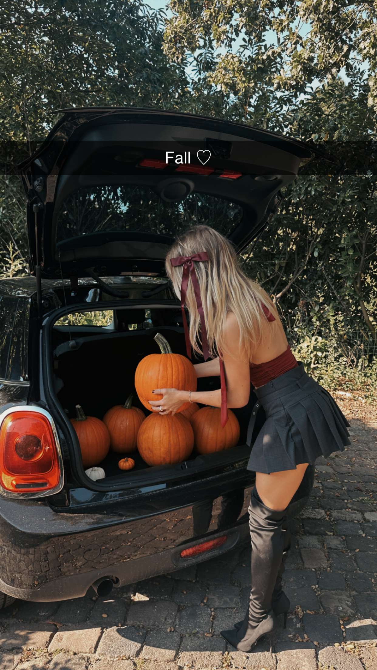 surfsterre snapchat image archive image