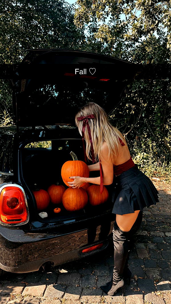 surfsterre image ~ Altpins