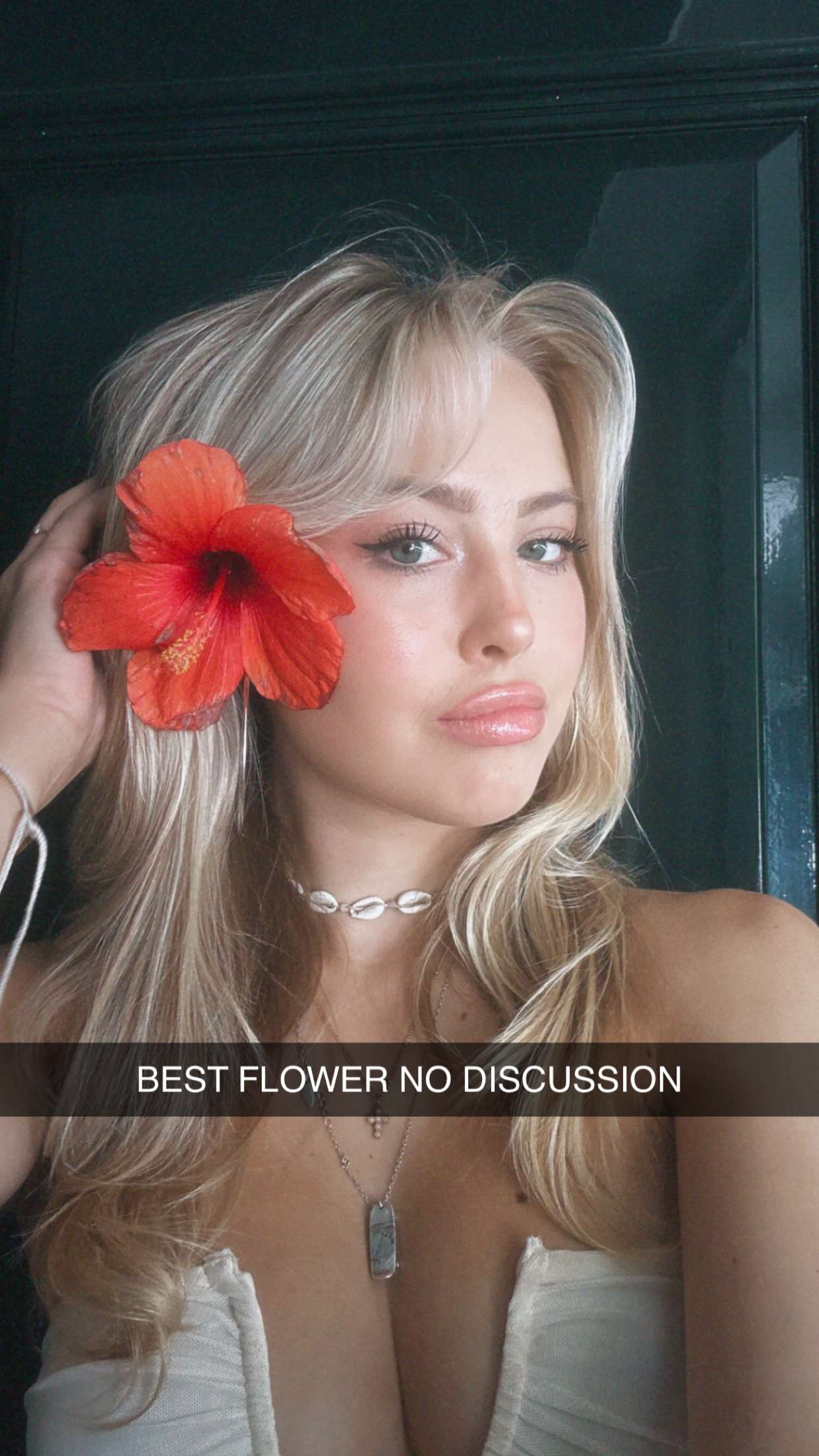 surfsterre snapchat image archive image