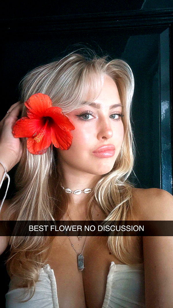 surfsterre image ~ Altpins