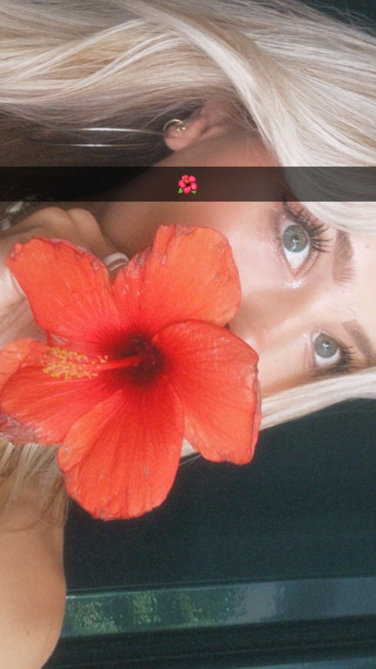 surfsterre snapchat image archive image